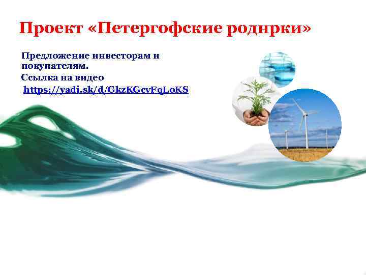 Проект «Петергофские роднрки» Предложение инвесторам и покупателям. Ссылка на видео https: //yadi. sk/d/Gkz. KGcv.