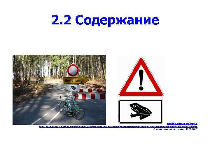 2. 2 Содержание Источник: http: //velotraum. de/leidenschaft/kundengalerie? pg=18 http: //www. bz-mg. de/natur-umwelt-tierreich/vorsicht-krotenwanderung-mit-steigenden-temperaturen-beginnt-die-alljahrliche-amphibienwanderung. html Дата