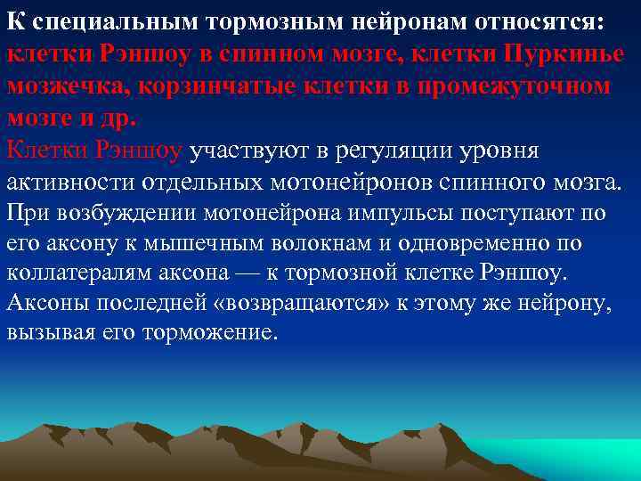 К специальным тормозным нейронам относятся: клетки Рэншоу в спинном мозге, клетки Пуркинье мозжечка, корзинчатые