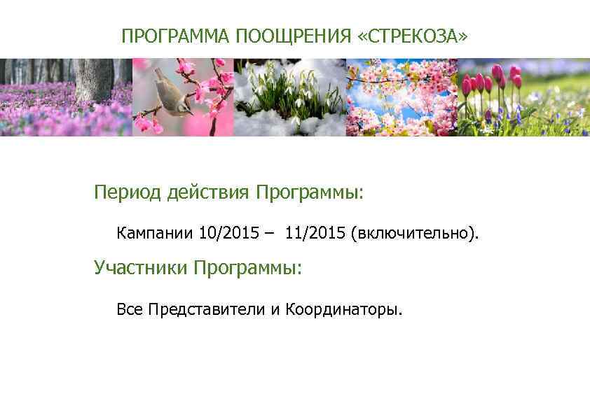 ПРОГРАММА ПООЩРЕНИЯ «СТРЕКОЗА» Период действия Программы: Кампании 10/2015 – 11/2015 (включительно). Участники Программы: Все