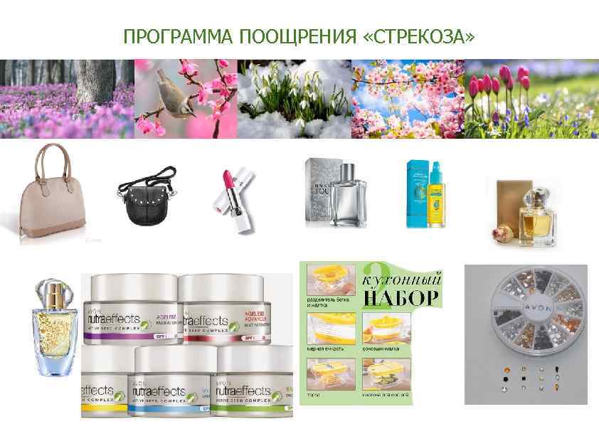 ПРОГРАММА ПООЩРЕНИЯ «СТРЕКОЗА» 