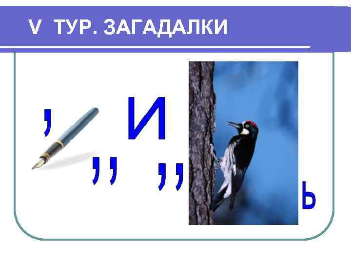 V ТУР. ЗАГАДАЛКИ 