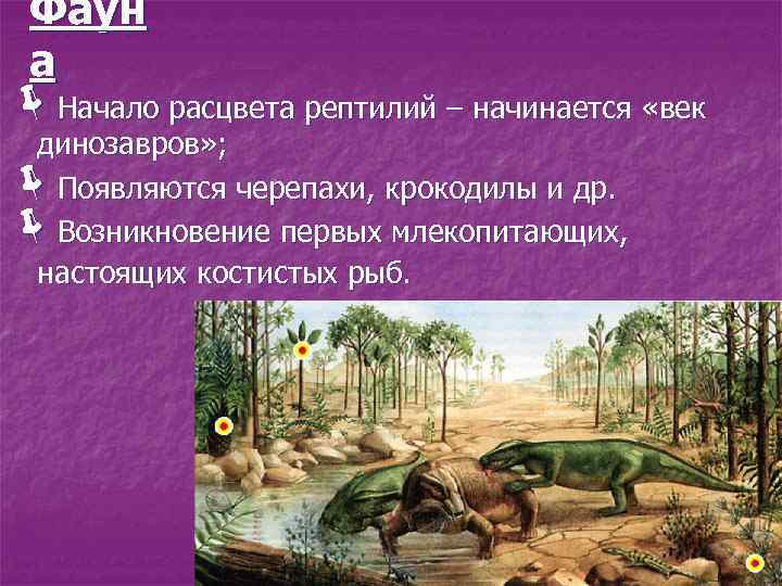 Фаун а ëНачало расцвета рептилий – начинается «век динозавров» ; Появляются черепахи, крокодилы и