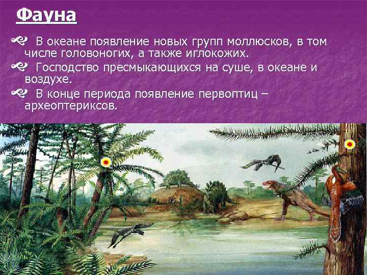 Фауна В океане появление новых групп моллюсков, в том числе головоногих, а также иглокожих.