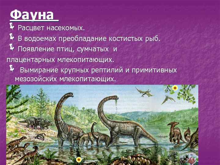 Фауна ëРасцвет насекомых. ëВ водоемах преобладание костистых рыб. ëПоявление птиц, сумчатых и плацентарных млекопитающих.