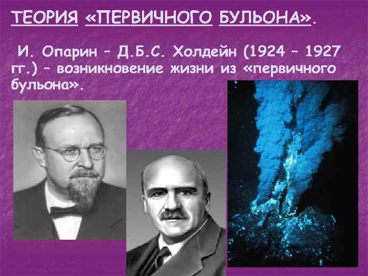 Первичные организмы возникли в первичном бульоне