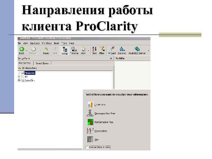 Направления работы клиента Pro. Clarity 