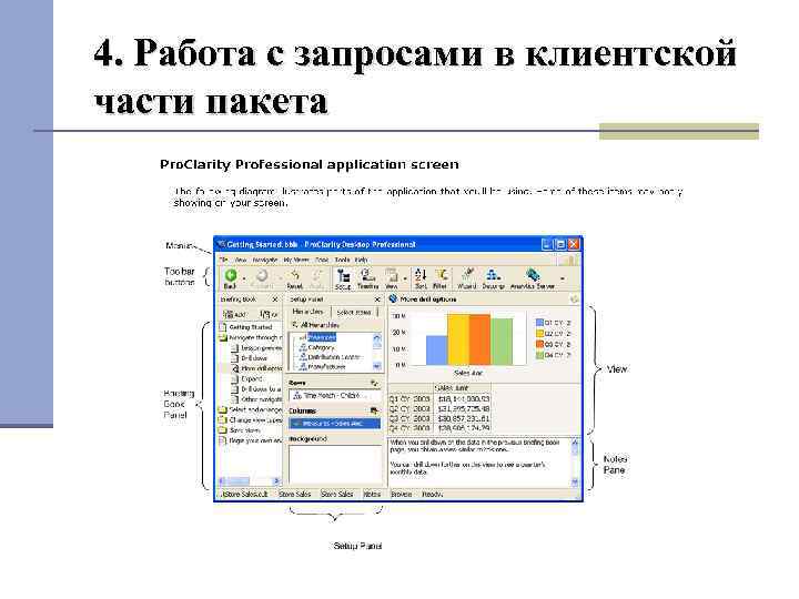 4. Работа с запросами в клиентской части пакета Вид главного окна клиенткой компоненты Pro.