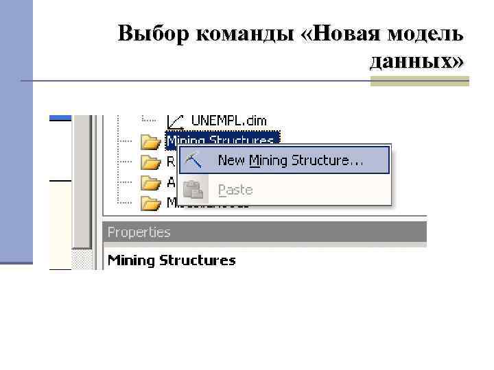 Выбор команды «Новая модель данных» 