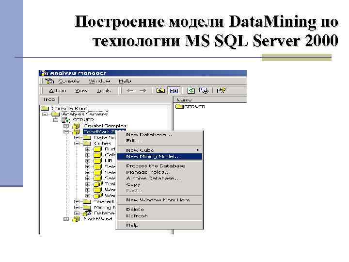 Построение модели Data. Mining по технологии MS SQL Server 2000 