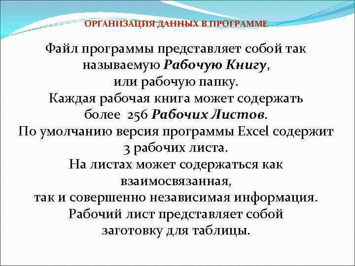 ОРГАНИЗАЦИЯ ДАННЫХ В ПРОГРАММЕ Файл программы представляет собой так называемую Рабочую Книгу, или рабочую