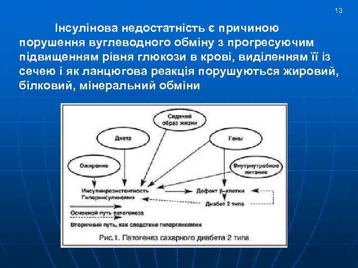 13 Інсулінова недостатність є причиною порушення вуглеводного обміну з прогресуючим підвищенням рівня глюкози в