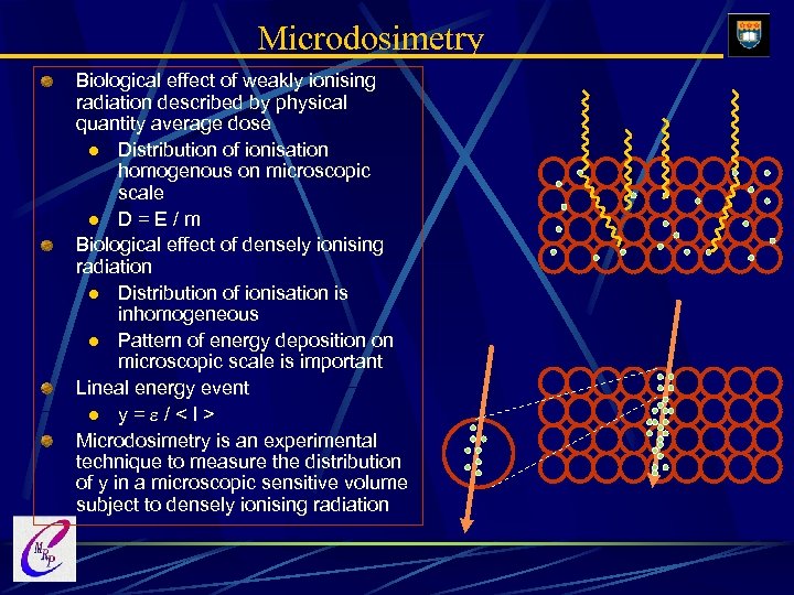 Microdosimetry Biological effect of weakly ionising radiation described by physical quantity average dose l