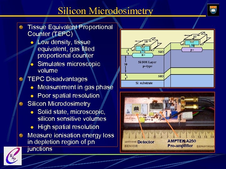 Silicon Microdosimetry Tissue Equivalent Proportional Counter (TEPC) l Low density, tissue equivalent, gas filled