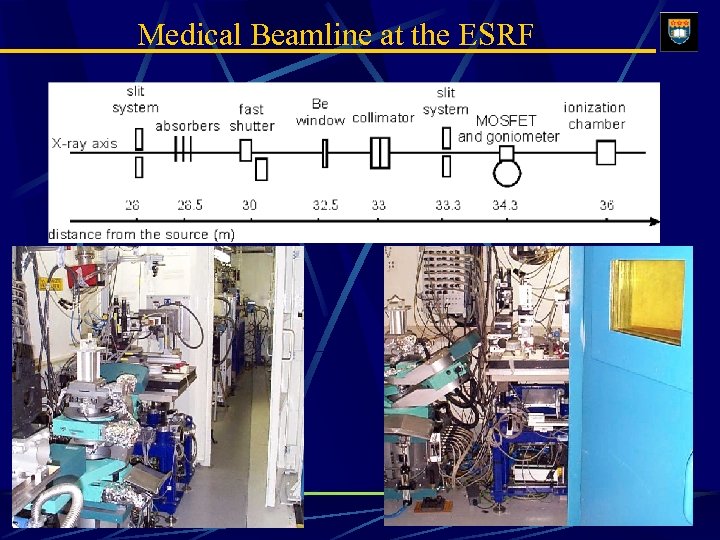 Medical Beamline at the ESRF 