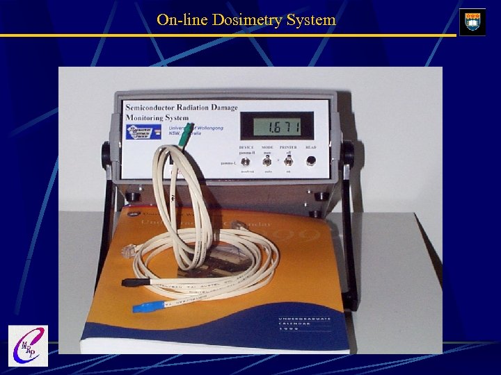 On-line Dosimetry System 