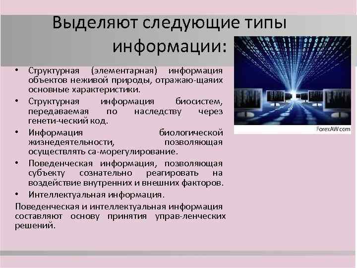 Информация отражающая. Элементарная информация. Элементарная информация примеры. Элементарная биологическая социальная информации. Приведите пример элементарной информации.