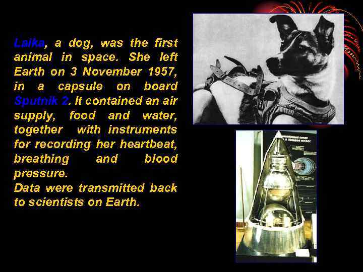 Laika, a dog, was the first animal in space. She left Earth on 3