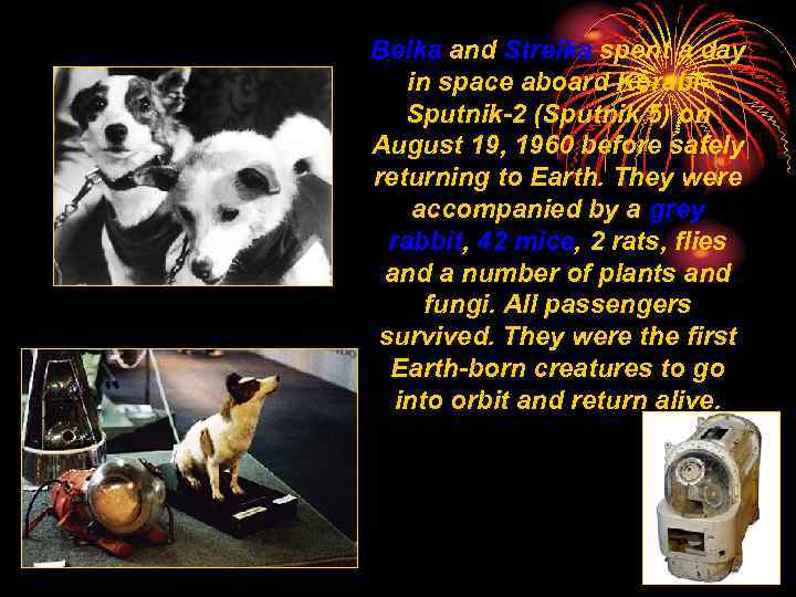 Belka and Strelka spent a day in space aboard Korabl. Sputnik-2 (Sputnik 5) on