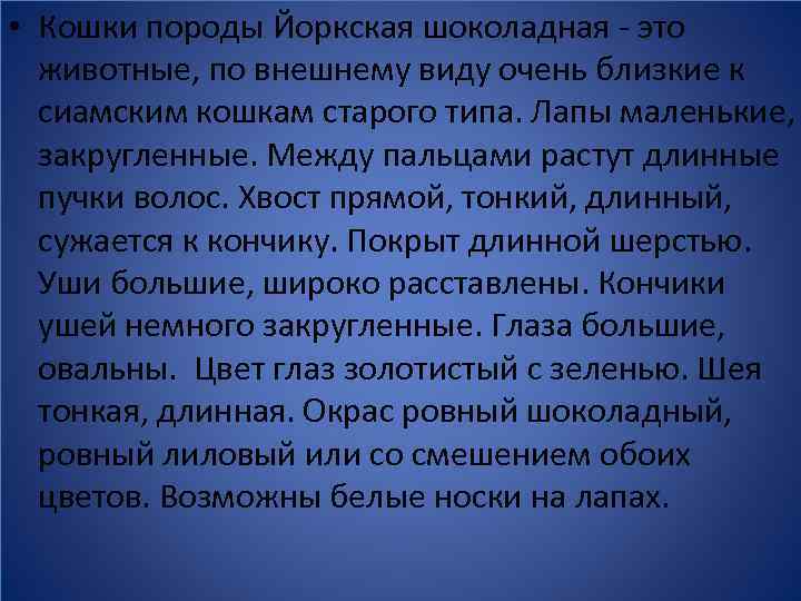  • Кошки породы Йоркская шоколадная - это животные, по внешнему виду очень близкие