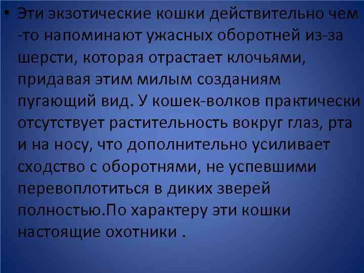  • Эти экзотические кошки действительно чем -то напоминают ужасных оборотней из-за шерсти, которая