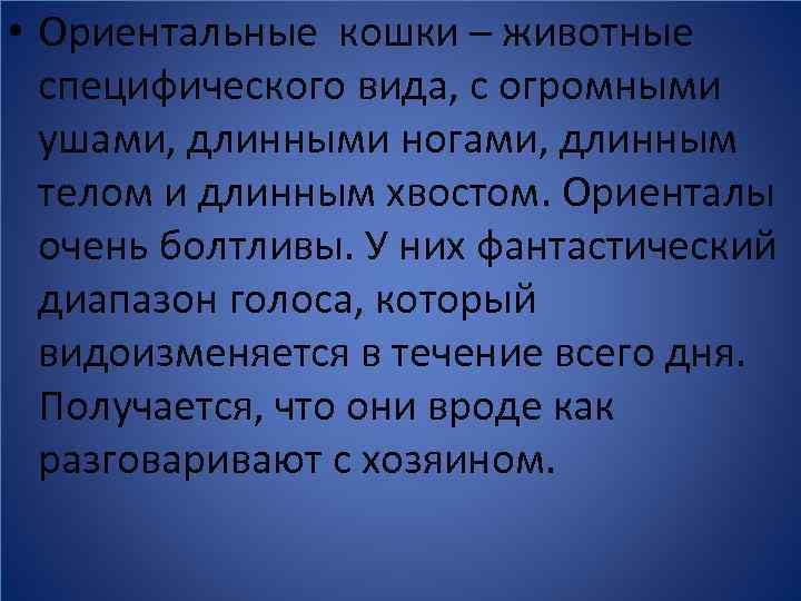  • Ориентальные кошки – животные специфического вида, с огромными ушами, длинными ногами, длинным