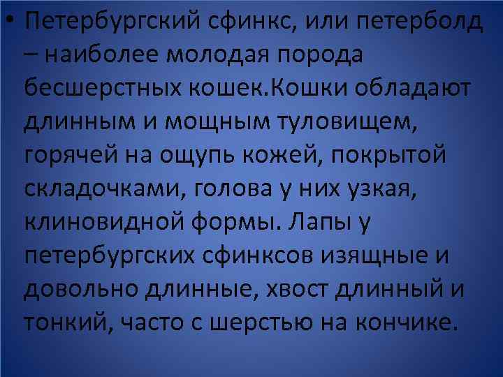  • Петербургский сфинкс, или петерболд – наиболее молодая порода бесшерстных кошек. Кошки обладают