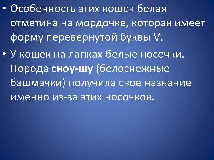  • Особенность этих кошек белая отметина на мордочке, которая имеет форму перевернутой буквы