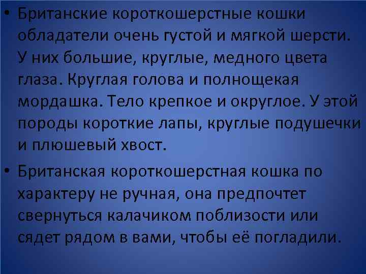  • Британские короткошерстные кошки обладатели очень густой и мягкой шерсти. У них большие,