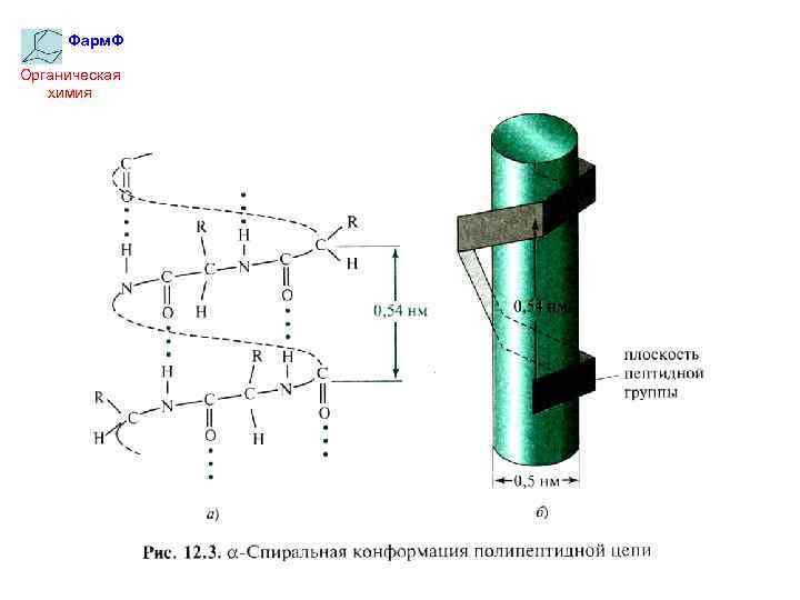 Фарм. Ф Органическая химия 