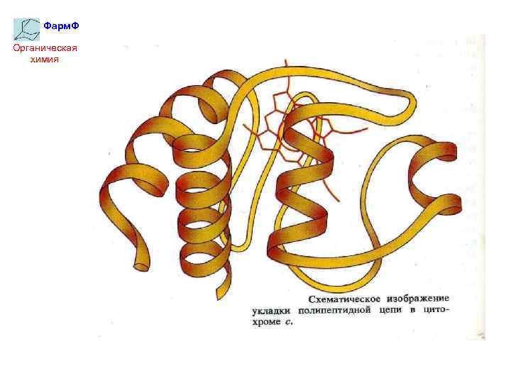 Фарм. Ф Органическая химия 