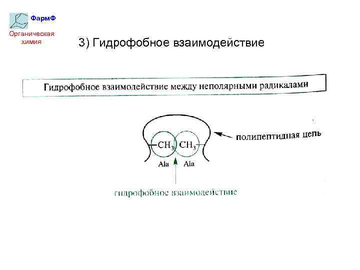Фарм. Ф Органическая химия 3) Гидрофобное взаимодействие 
