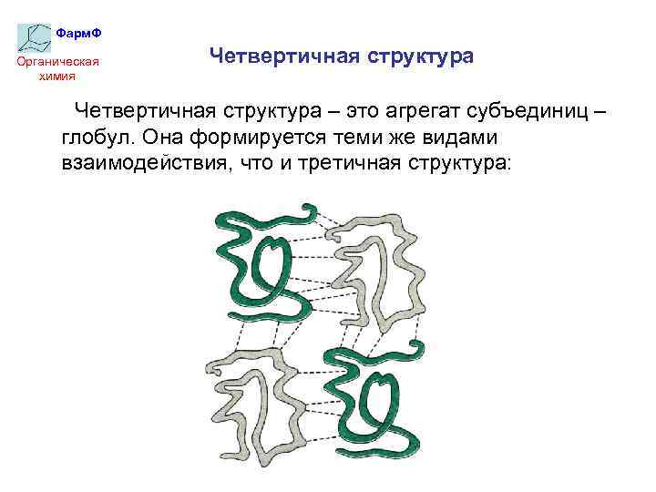 Фарм. Ф Органическая химия Четвертичная структура – это агрегат субъединиц – глобул. Она формируется