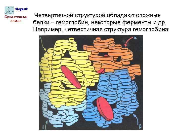 Ферменты с четвертичной структурой. Четвертичная структура белка гемоглобина. Четвертичная структура гемоглобина. Белки химия четвертичная структура.