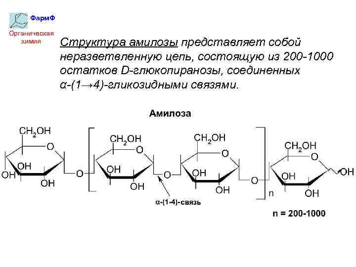 Фарм. Ф Органическая химия Структура амилозы представляет собой неразветвленную цепь, состоящую из 200 -1000