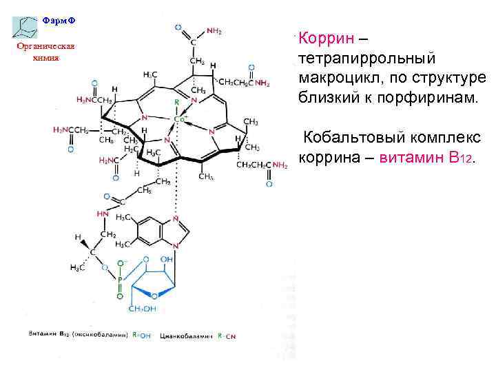 Фарм. Ф Органическая химия Коррин – тетрапиррольный макроцикл, по структуре близкий к порфиринам. Кобальтовый