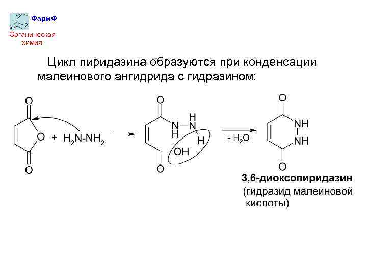 Фарм. Ф Органическая химия Цикл пиридазина образуются при конденсации малеинового ангидрида с гидразином: 