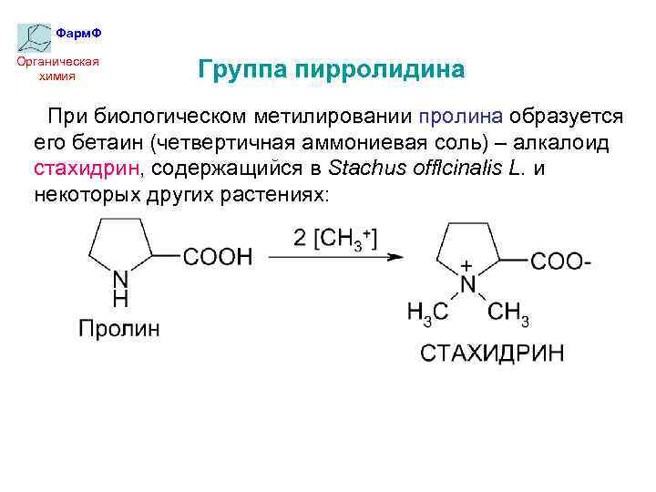 Фарм. Ф Органическая химия Группа пирролидина При биологическом метилировании пролина образуется его бетаин (четвертичная
