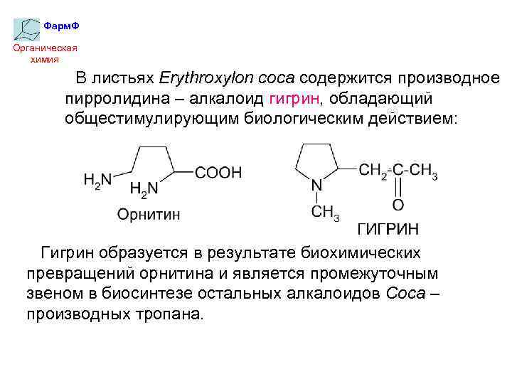 Фарм. Ф Органическая химия В листьях Erythroxylon coca содержится производное пирролидина – алкалоид гигрин,