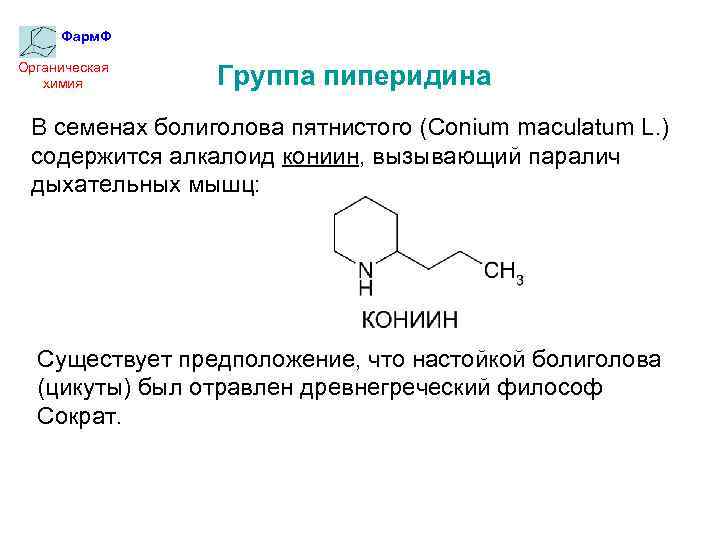Фарм. Ф Органическая химия Группа пиперидина В семенах болиголова пятнистого (Conium maculatum L. )