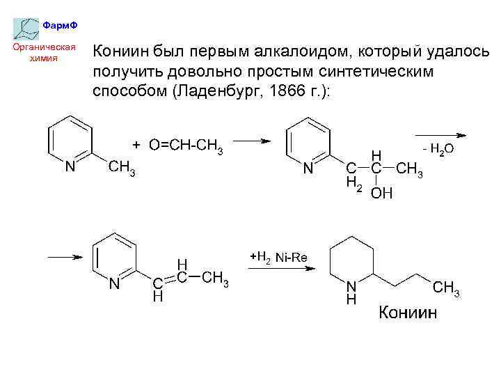 Фарм. Ф Органическая химия Кониин был первым алкалоидом, который удалось получить довольно простым синтетическим