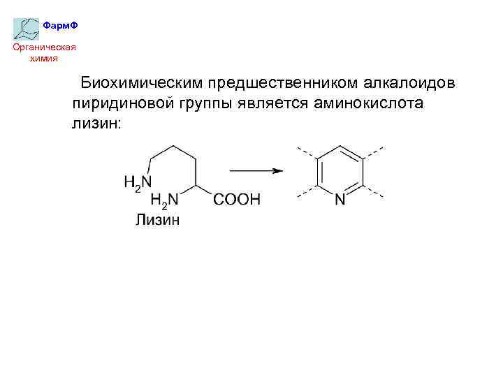 Фарм. Ф Органическая химия Биохимическим предшественником алкалоидов пиридиновой группы является аминокислота лизин: 