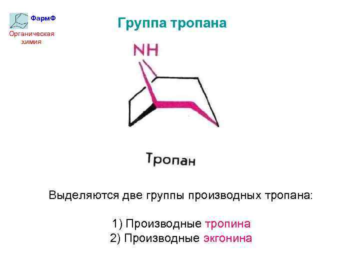 Фарм. Ф Органическая химия Группа тропана Выделяются две группы производных тропана: 1) Производные тропина