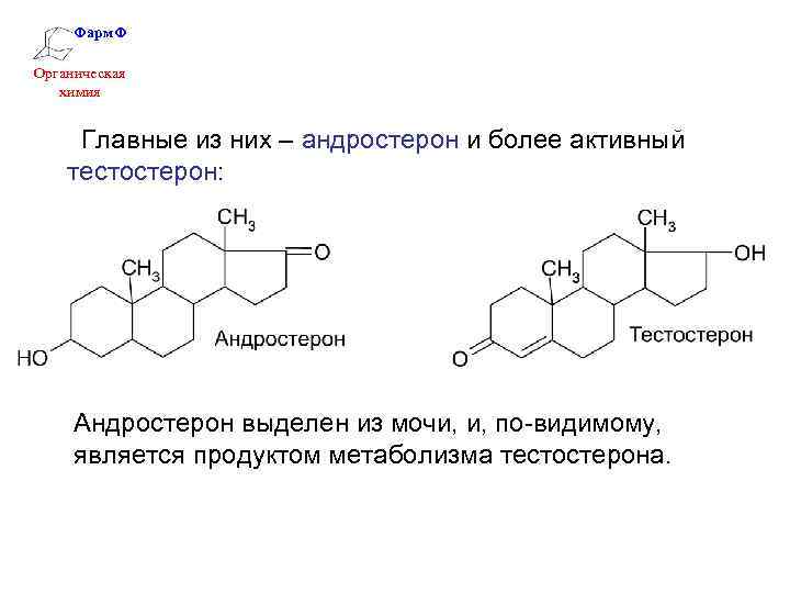 Тестостерон андроген