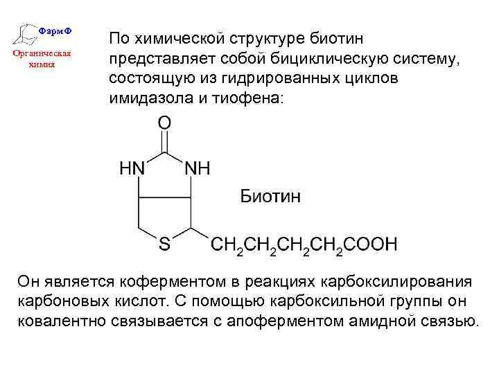 Фарм. Ф Органическая химия По химической структуре биотин представляет собой бициклическую систему, состоящую из