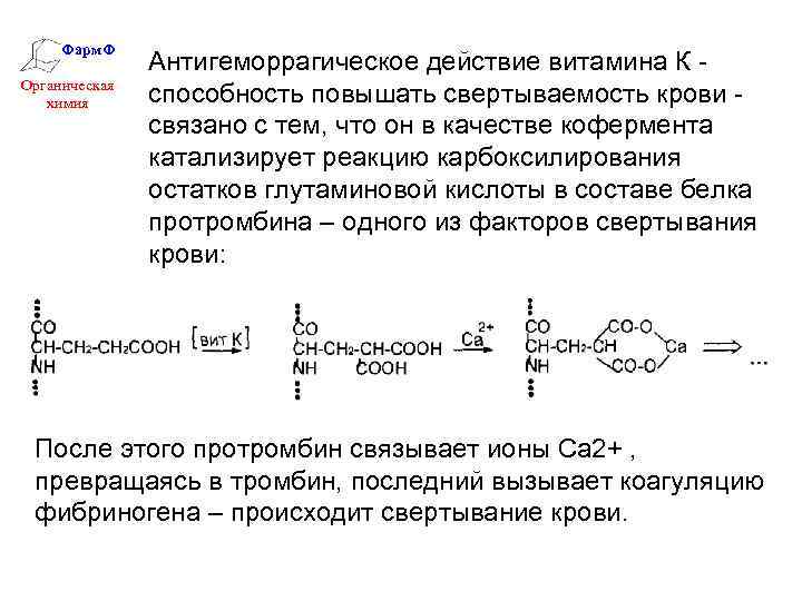 Фарм. Ф Органическая химия Антигеморрагическое действие витамина К способность повышать свертываемость крови связано с