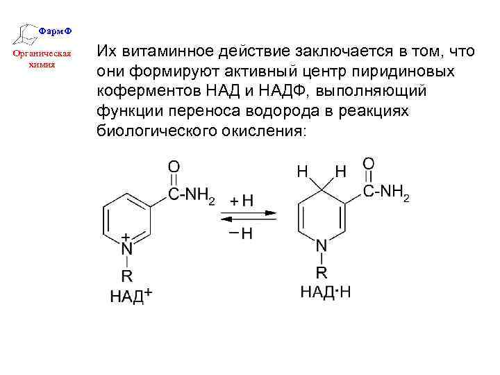 Фарм. Ф Органическая химия Их витаминное действие заключается в том, что они формируют активный