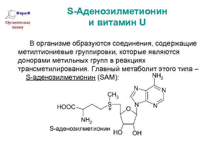 Фарм. Ф Органическая химия S-Аденозилметионин и витамин U В организме образуются соединения, содержащие метилтиониевые