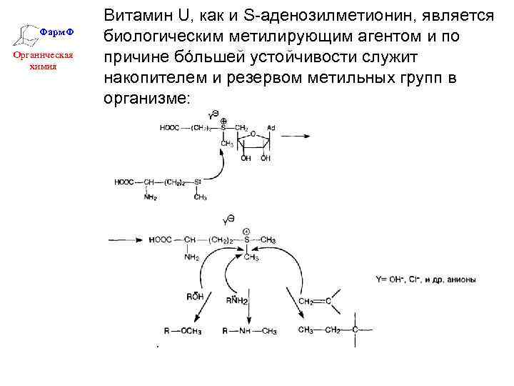 Фарм. Ф Органическая химия Витамин U, как и S-аденозилметионин, является биологическим метилирующим агентом и