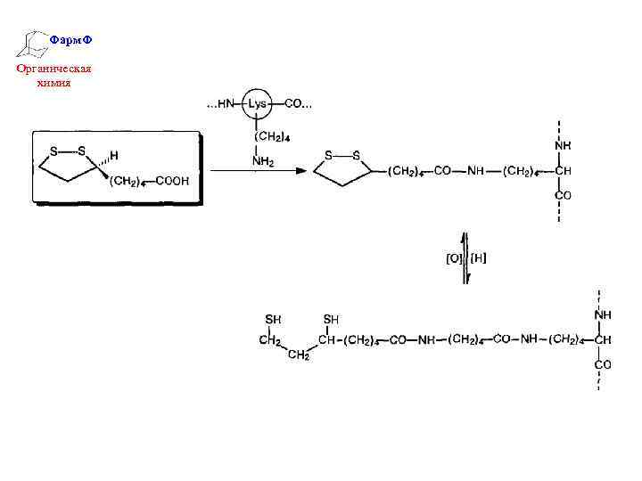Фарм. Ф Органическая химия 